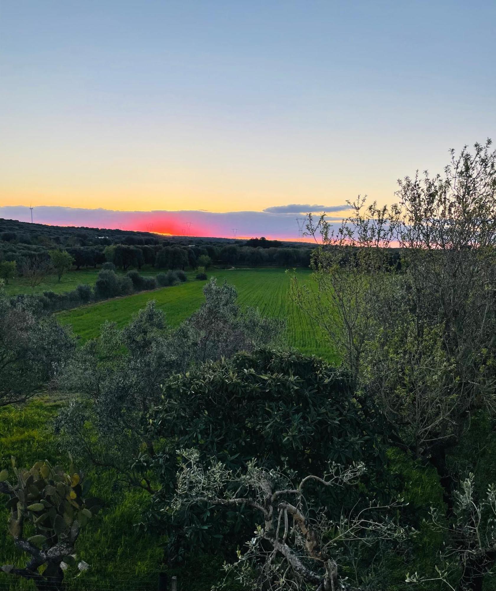 Appartamento La Nicchia Villa Castelli Esterno foto
