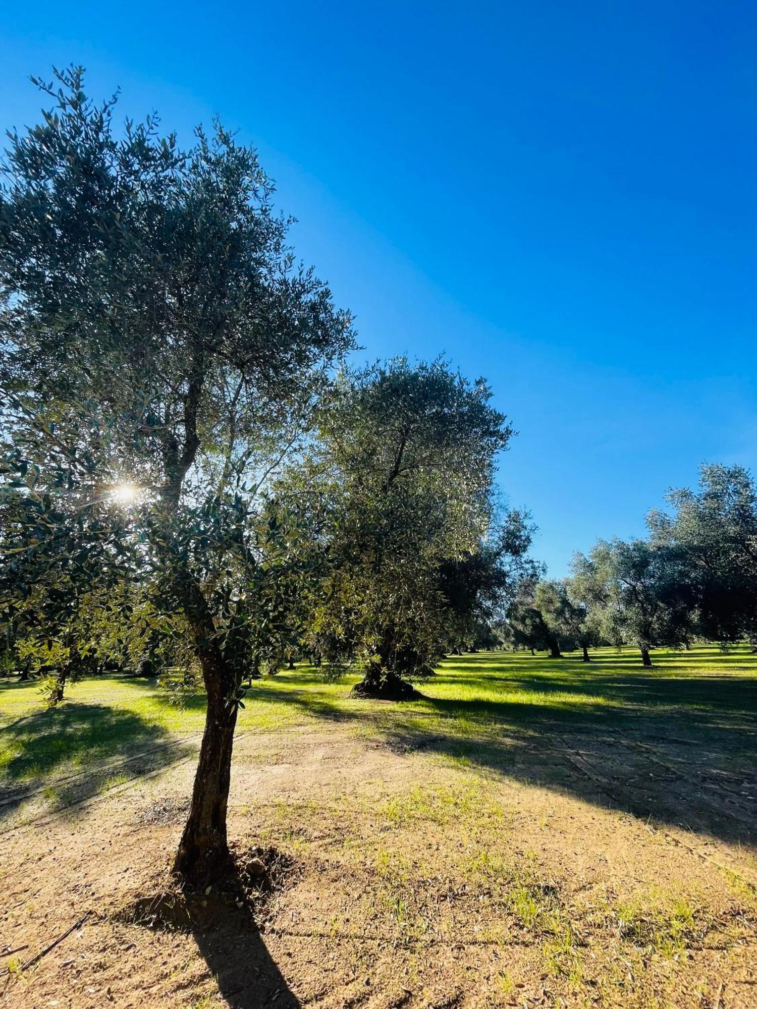 Appartamento La Nicchia Villa Castelli Esterno foto